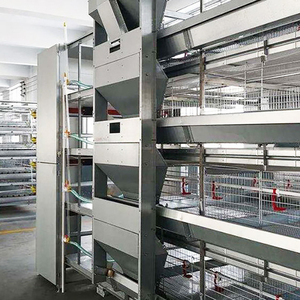 Nhà Máy bán hàng trực tiếp gia cầm trang trại lớp Lồng trứng tự động Bộ sưu tập thiết bị - Product Image 4