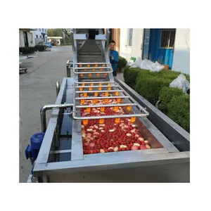 High quality commercial bubble washer Vegetable bubble washer machine with roller brushes for sale