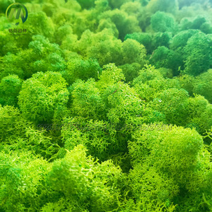 Artificial <strong>Moss</strong> Wall Panel Decorative <strong>Moss</strong> Backdrop Lifelike Preserved <strong>Moss</strong> High Simulation Green Plant Wall for Indoor Decor - Product Image 4