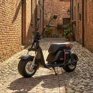 Modelo Más Vendido, Scooter Vintage de Dos Ruedas, 1000w 20ah, Batería de Litio, Frenos de Disco, Neumáticos Anchos Resistentes al Agua, Motor Potente Ss701 de 1000w - Product Image 1