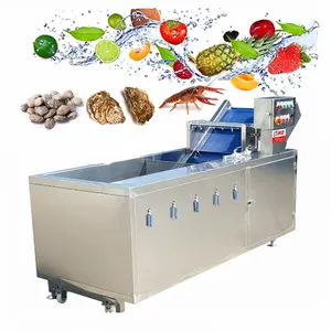 Yatay endüstriyel patates temiz ticari Longan taze turunçgiller kereviz sebze yıkama makinesi