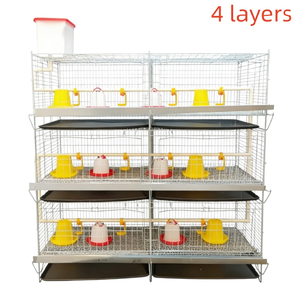 Cage d'élevage avicole moderne automatisée en H, haute capacité pour cailles et poulets de chair - Product Image 3