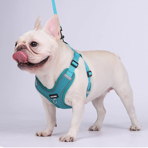 Ensemble harnais et laisse pour petits chiens – Harnais anti-traction pour bouledogue français, chiot, pug, Boston Terrier – Poitrail rembourré doux - Product Image 3
