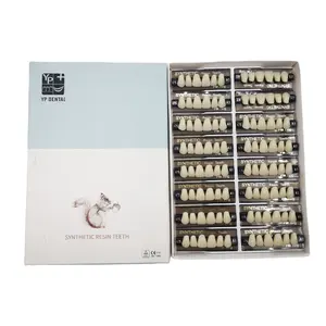 2 Layer 3 layer Synthetic Resin Acrylic teeth A2 A3 For Artificial Dentures Manufactures