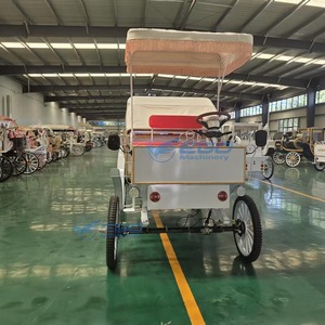 Carroza Eléctrica Cubierta de Alta Eficiencia y Ahorro de Energía, de Largo Alcance, con Piezas Personalizadas para Eventos Panorámicos y Bodas, Suministro Directo de Fábrica - Product Image 5