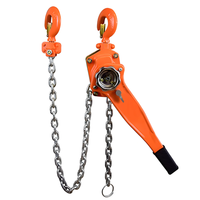 Nouveau palan à chaîne manuel en acier 2 tonnes Mini grue Bloc de levage à chaîne avec élingue en câble métallique Protection IP55 Garantie 1 an