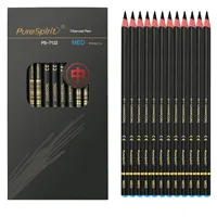 Crayons à Dessin au Charbon PurespiritSpecial Doux/Moyen/Dur 4H/2H/HB/2B/3B/4B/5B/6B/8B/10B/12B/14B Noir pour Croquis et Esquisses