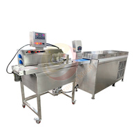 Machine d'enrobage de chocolat composé, ligne d'enrobage de chocolat fondu de petit gâteau avec Tunnel de refroidissement