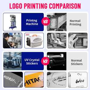 Özel katı evcil hayvan taşıyıcı havayolu onaylı PP seyahat kutusu nefes taşınabilir küçük hayvanlar moda araba hava seyahat - Product Image 5