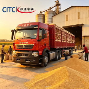 Camion tracteur Sinotruk Howo TX 6x4 sur mesure pour le transport de céréales en sortie de station <span class=keywords><strong>d</strong></span>'<span class=keywords><strong>achat</strong></span> de grains - Product Image 1