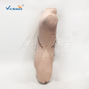 Modèle de démonstration de suture et de pansement chirurgical ; modèle d'opération pour la formation infirmière ; pour utilisation en école de soins infirmiers - Product Image 4