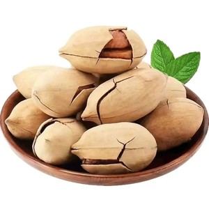 Wholesale Premium Pecan Nuts Large Granules Pecan <strong>Kernels</strong> Dried Vanilla Flavor Super Easy to Crack Food - Product Image 6
