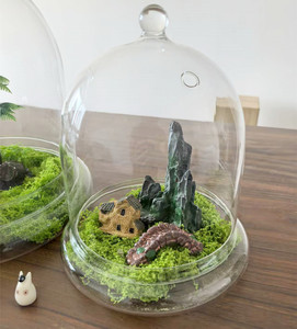 Contenitore <span class=keywords><strong>moderno</strong></span> <span class=keywords><strong>in</strong></span> <span class=keywords><strong>vetro</strong></span> trasparente per terrario con Base Airhole per casa Display da tavolo Cloche Dome per il <span class=keywords><strong>centrotavola</strong></span> fiore vegetale - Product Image 3