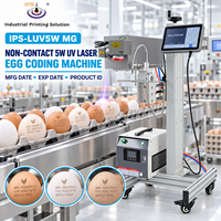 Machine de codage laser UV sans contact IPS-LUV5W MG 5W pour l'impression de la date de fabrication, de la date d'expiration et l'identification des produits