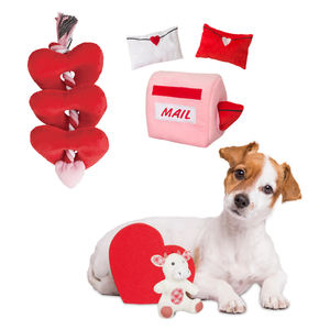 Produsen Grosir Valentines Pink Red Chew Dog Set Mainan Tali Mewah - Product Image 1