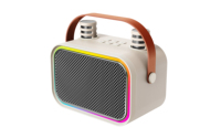 Mini haut-parleur karaoké sans fil Bluetooth portable avec 2 micros, lumières LED RGB, changeur de voix, Bluetooth 5.4, prise en charge AUX et carte TF