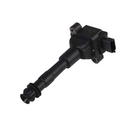 High Quality Auto Spare Parts Engine Systems Ignition Coils OEM 99660210400 for Porsche