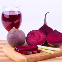 Poudre de betterave rouge biologique pure naturelle de l'usine privée, produit de thé minceur pour la perte de poids saine