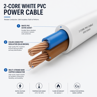 Cable de Alimentación Plano de 2 Núcleos, Conductor de Aluminio Revestido de Cobre, 0.5-10 mm², Blanco, para Cableado Industrial