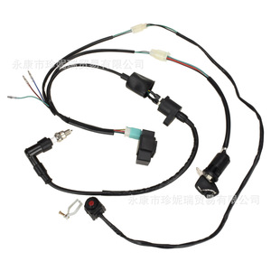 Zhen Nirui Off-road Motorcycle Kick Start <b>Wiring</b> Harness <b>Assembly</b> With Cap Universal 50-125cc Plastic Black - Product Image 1