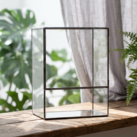 Boîte carrée en verre avec cadre en métal noir, porte pour petits insectes et reptiles, décoration moderne pour la maison ou le bureau, habitat