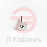 Ti Fastener M4 M5 M6 M8 M10 M12 DIN7991 Gr5 Vis à tête fraisée en titane Socked Bolt