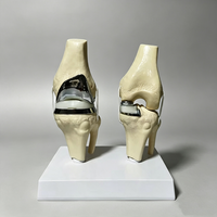 HZMIM PVC de alta calidad, Novedad 2025, Modelo de maniquí desmontable de doble articulación de rodilla plateada pequeña artificial para implantes y prótesis