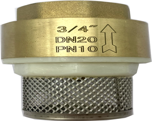 Ningbo Texoon approvisionnement d'usine clapet de pied en <span class=keywords><strong>laiton</strong></span> forgé <span class=keywords><strong>disque</strong></span> en plastique 304 filtre à ressort en acier inoxydable - Product Image 2