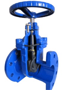 Válvula de Compuerta de Hierro Dúctil DIN PN16 de 2 Pulgadas con Volante Manual, Sin Vástago, Sello Suave para Agua DIN3352, Hierro Dúctil PN16 DN50-600mm 2in - Product Image 2