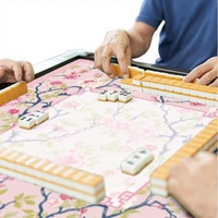Tapis de Mahjong Pliable Écologique et Inodore, Antidérapant, Isolation Phonique, pour Appartement et Loisirs Intérieurs