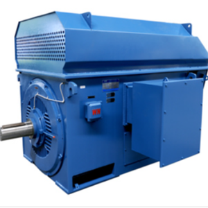 Moteur à anneau coulissant haute tension YRKK 6 kV 10 kV 6P 1250 kW - Product Image 2
