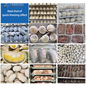 Công suất nhỏ 130 lít-45 ° C Kem hải sản nhanh chóng Vụ Nổ Máy làm lạnh Tủ đông máy thương mại 5 khay R-404A lạnh - Product Image 5