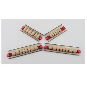 Dentiera dentale in resina sintetica a 3 strati in acrilico con denti finti bocca piena - Product Image 2