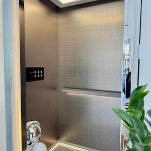 ลิฟต์โดยสารสำหรับบ้านพักอาศัยในโรงงานจีน พร้อมห้องโดยสาร - Product Image 1