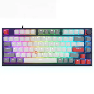 New 75keys Anti-Ghosting Gateron Switch RGB LED Mechanical USB Type-C Gaming Wired Keyboard for tablet