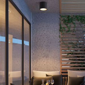 <span class=keywords><strong>Plafonnier</strong></span> extérieur classique d'IP65 LED pour la conception cylindrique de balcon avec la base en aluminium - Product Image 4