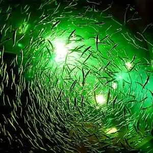 Kalamar çeken için 30W 50W 100W LED sualtı dalgıç balıkçı ışığı kablosuz balıkçı ışığı s yeşil renk