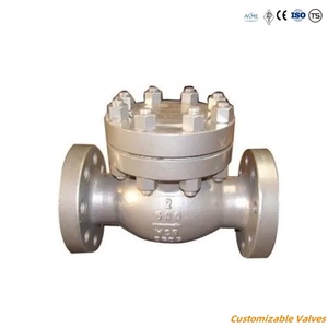 Brida de acero inoxidable, hierro al carbono forjado, aluminio, latón FC200 WCB DN80 PN16, tipo CVC002 - Product Image 4