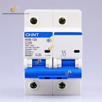 CHINT-Disyuntor de corriente grande en miniatura, disyuntor MCCB de corriente grande, 230V/400V, V, 3-4 polos, C/D, 63A-125A, 10KA, V, PA66