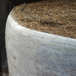 High-Strength Durable LDPE Alternatives UV-Resistant Long-Term Reliable Performance Replacement <b>Film</b> for Agricultural Use - Product Image 1