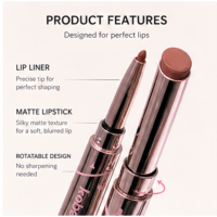 Crayon à lèvres double embout naturel, non-transfert, avec gloss et contour des lèvres pour des lèvres pulpeuses 3D, maquillage de fête, logo personnalisé