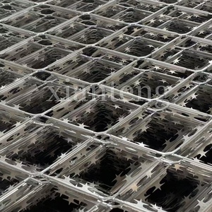 Sắc nét dao cạo dây lưới hàng rào/Thép gai mạ kẽm kim cương lỗ thép tấm-sản phẩm phổ biến nhất để bảo vệ ranh giới - Product Image 5