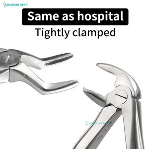 Pinze Professionali per Estrazione Dentale Pediatrica, 7 Tipi in Acciaio Inossidabile, Strumenti Chirurgici Ortodontici per Cliniche Dentistiche - Product Image 4