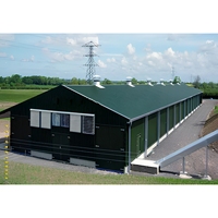 Estructura de Acero Prefabricada JIEKE, Solo Estructura, para Gallinero, Moderna, Galvanizada, Ligera, de Metal, con Garantía de por Vida