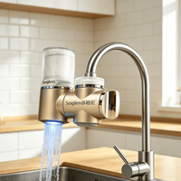 Meilleure Vente : Purificateur d'Eau à Fixation sur Robinet avec Cartouche Filtrante Céramique Remplaçable pour Salle de Bain, Cuisine et Maison en Location