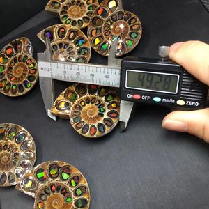 Colgante de joyería fina colorida de piedra de roca Mineral Natural de alta calidad, collar fósil de Amonita para regalo - Product Image 6