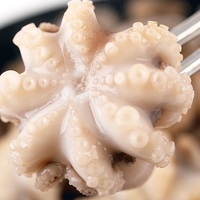 Venta al por Mayor de Pulpo Bebé Congelado y Sazonado, Rico en Proteínas, Aperitivo Izakaya, Certificado IFS, Suministro para Exportación a Granel