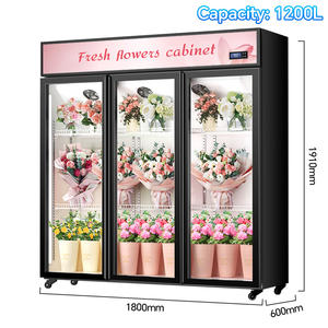 Frigorifero Espositore No Frost per Fiori a 2/3 Porte Trasparenti per Negozi di Fioristi - Armadio Commerciale Senza Drenaggio - Product Image 2