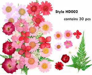 <span class=keywords><strong>2025</strong></span> Trong Kho Hoa Ép Người Mua Sự Lựa Chọn Màu Sắc Hỗn Hợp Ép Hoa Hoa Khô Túi Đóng Gói Cho Nhựa Trang Sức Trang Trí - Product Image 3