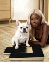 En stock : Planche à gratter pour chien en bois rétractable, lime à ongles, jouet pour animaux, griffoir, tampon de ponçage 900g